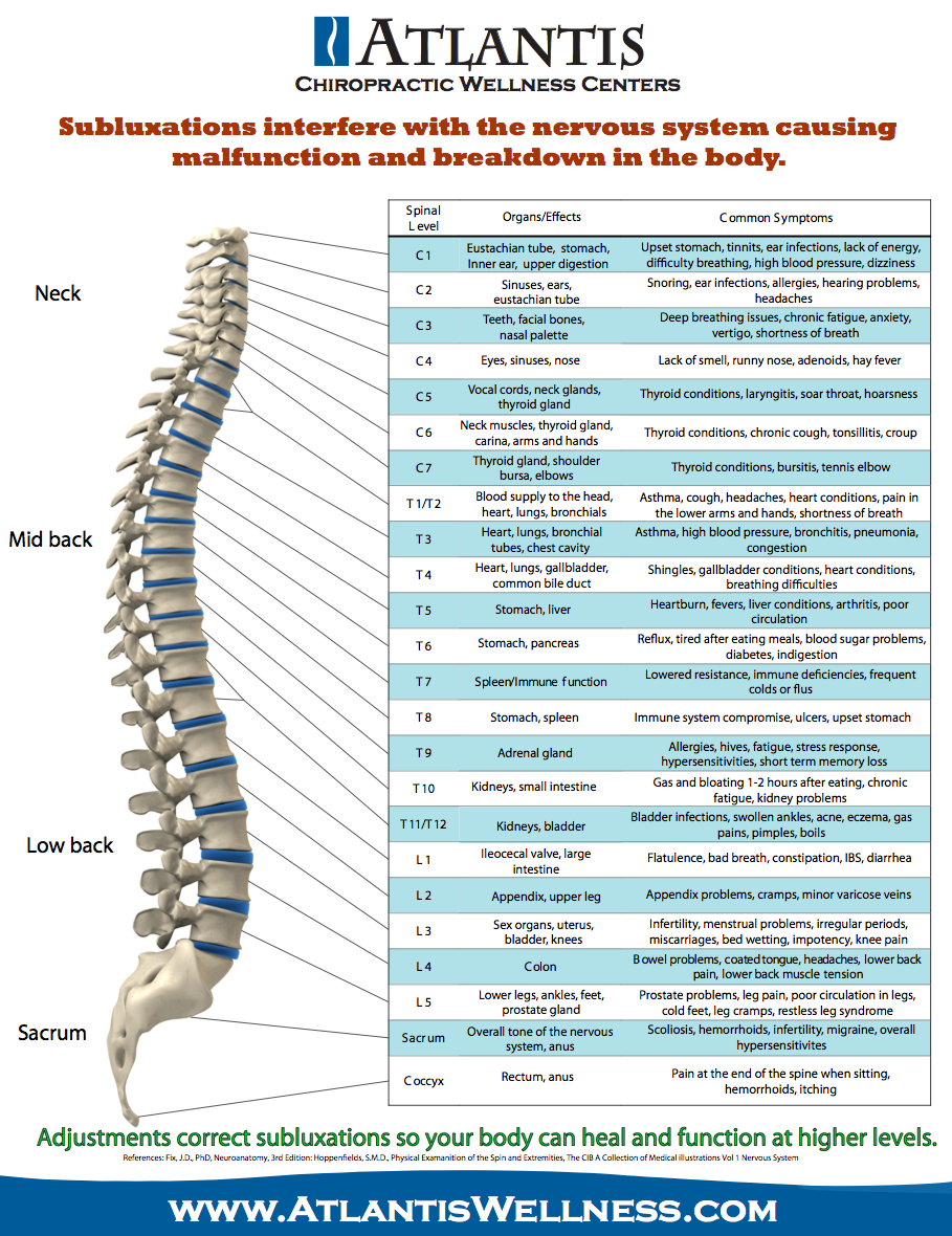 Chiropractic Subluxation Chart